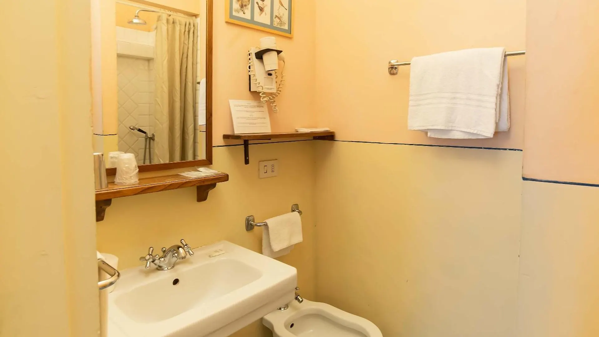 Hotel Bonifacio Firenze Italia